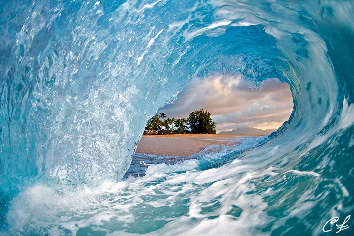Hawaii Waves